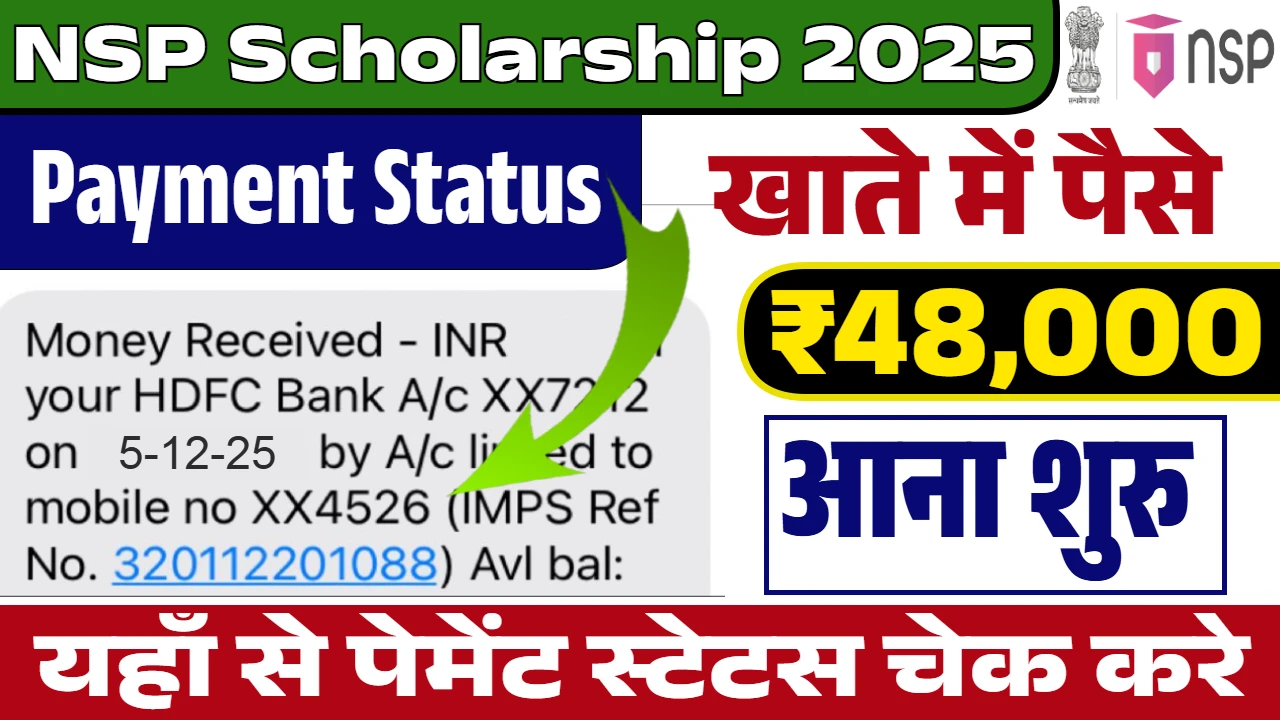 NSP Scholarship Status Check